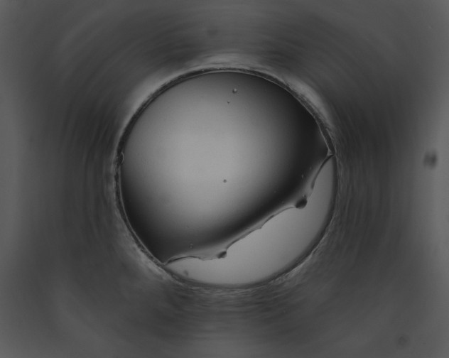 X0000089661288200707191640