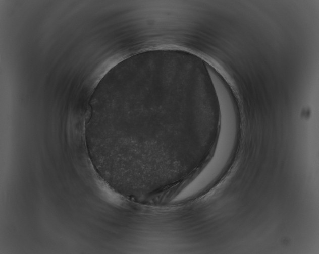 X0000089661289200707191640