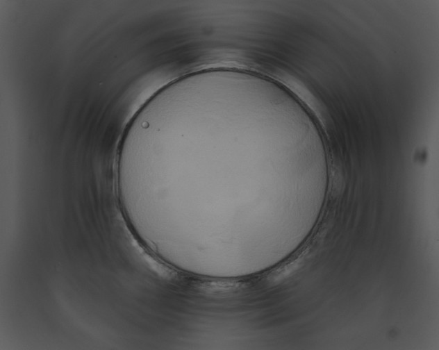 X0000089661290200707191640