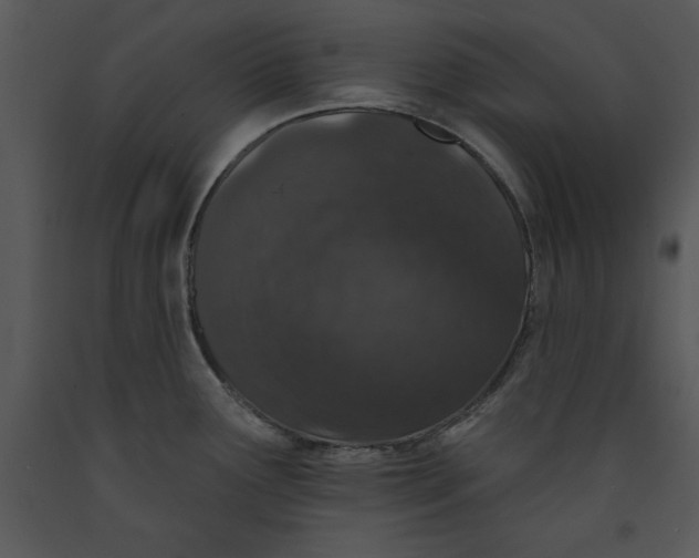 X0000089661291200707191640