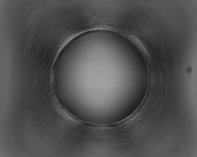 X0000089661292200707191640