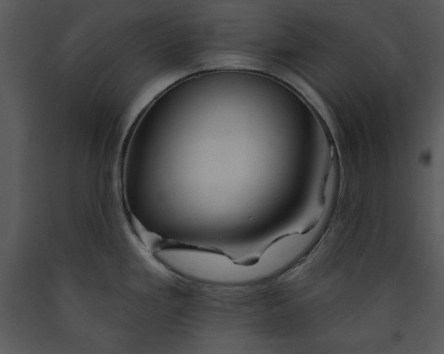 X0000089661293200707191640