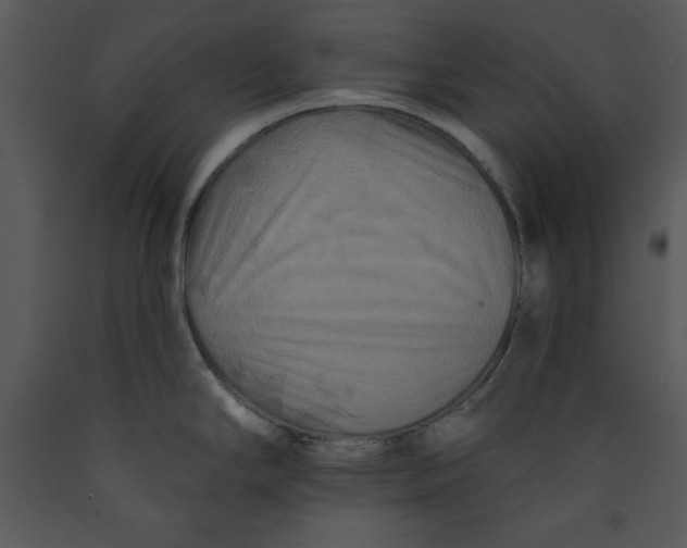 X0000089661294200707191640