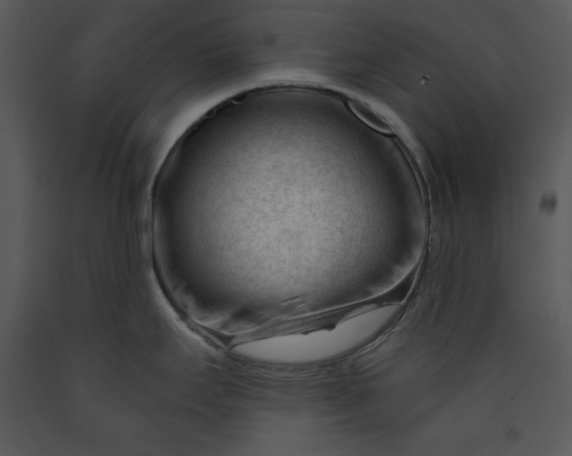 X0000089661295200707191640