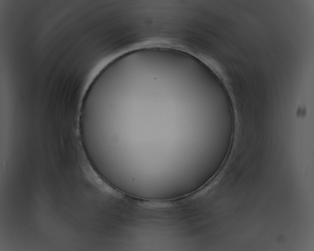 X0000089661296200707191640
