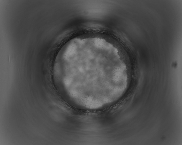 X0000089661297200707191639