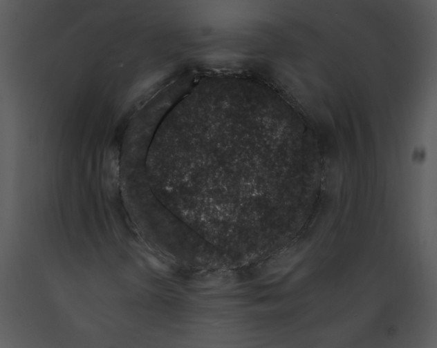 X0000089661298200707191639
