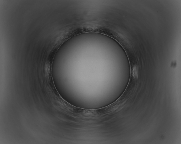 X0000089661299200707191639