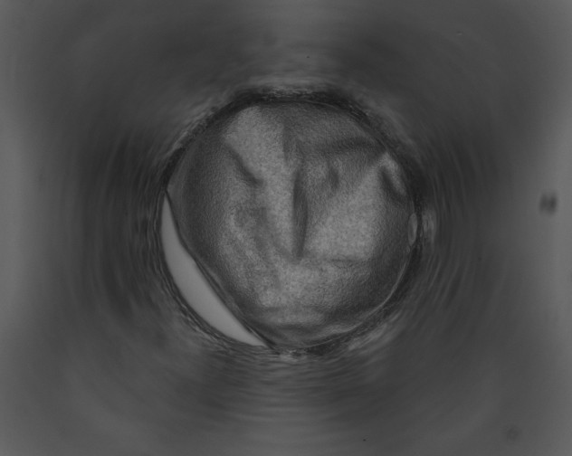X0000089661300200707191639