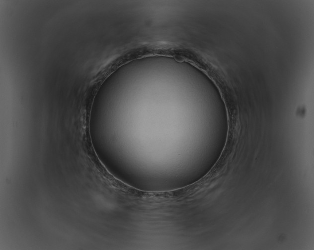 X0000089661301200707191639
