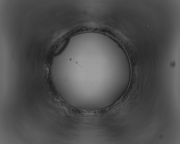 X0000089661302200707191639