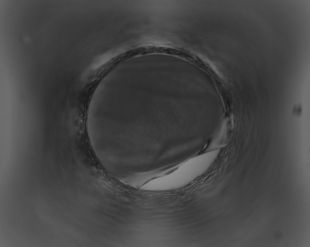 X0000089661303200707191639