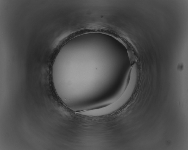 X0000089661304200707191639