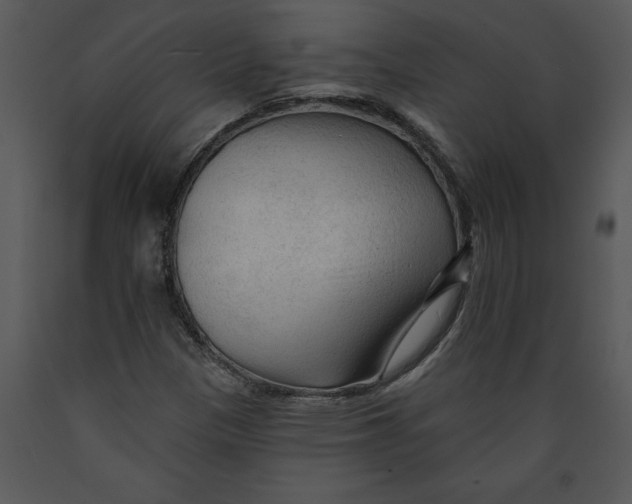 X0000089661305200707191639