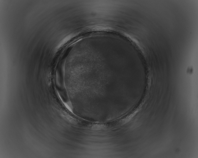 X0000089661306200707191639