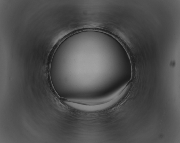 X0000089661308200707191639