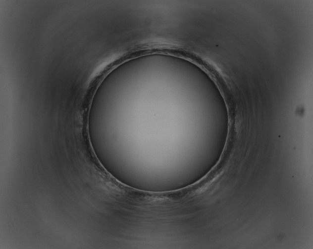 X0000089661309200707191639