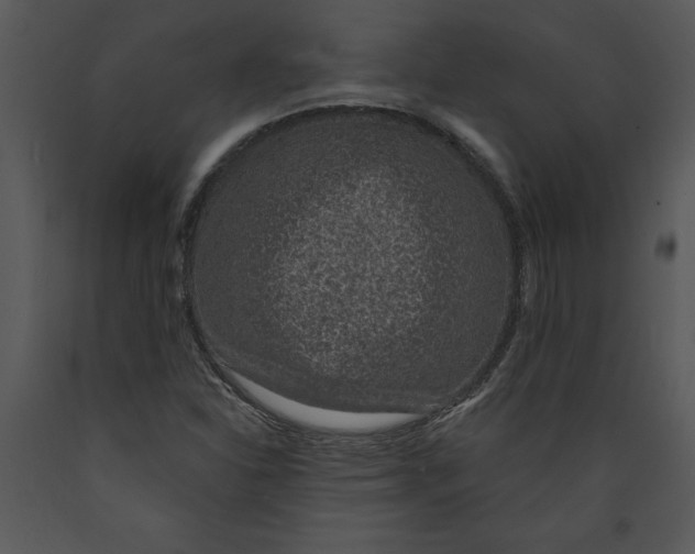 X0000089661310200707191639