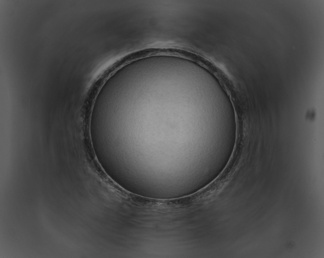 X0000089661311200707191639