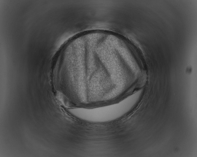 X0000089661312200707191639