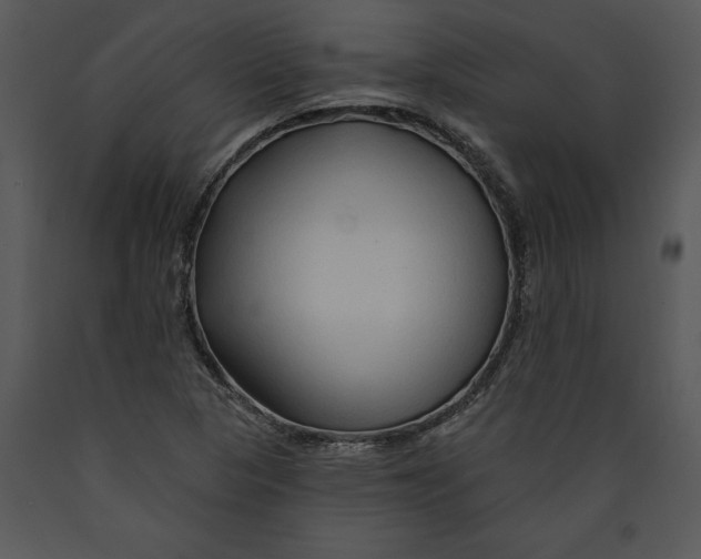 X0000089661313200707191639