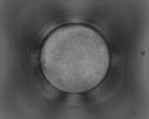 X0000089661314200707191639
