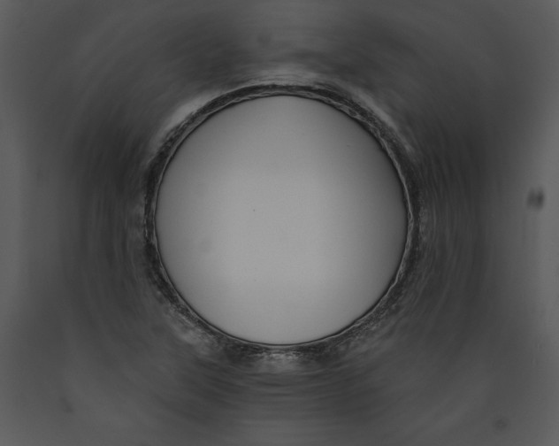 X0000089661315200707191639