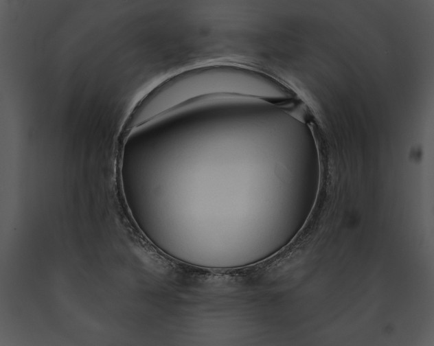 X0000089661316200707191639