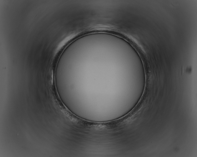 X0000089661317200707191639