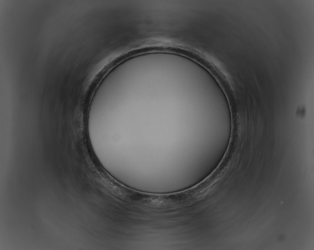 X0000089661318200707191640