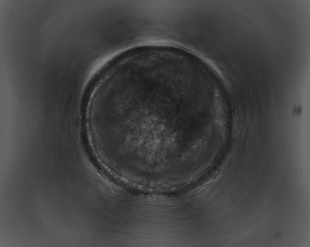 X0000089661319200707191640