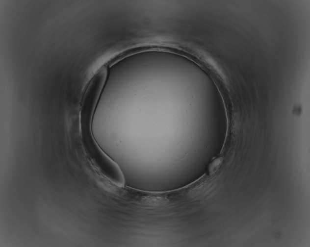 X0000089661320200707191640