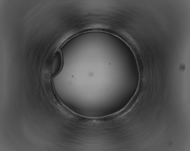 X0000089661321200707191640