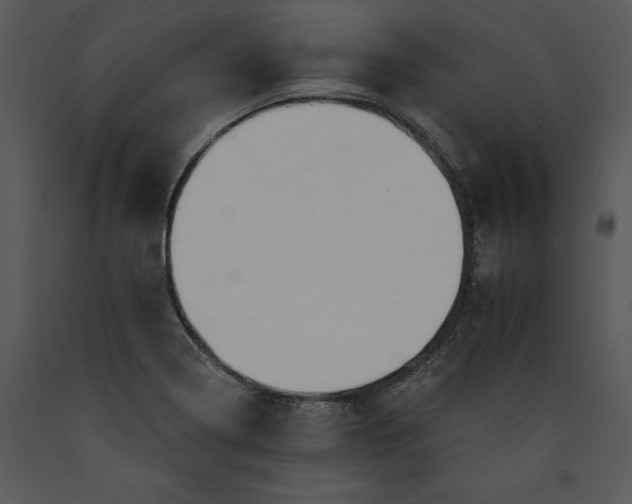 X0000089661322200707191640