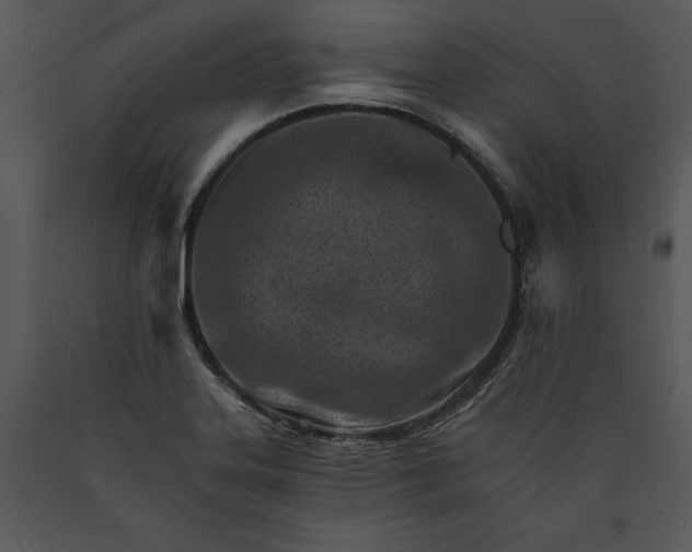 X0000089661323200707191640