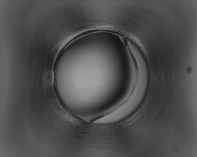 X0000089661324200707191640