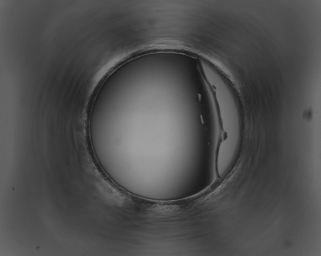 X0000089661325200707191640