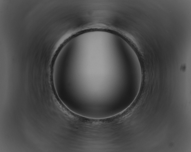 X0000089661326200707191640