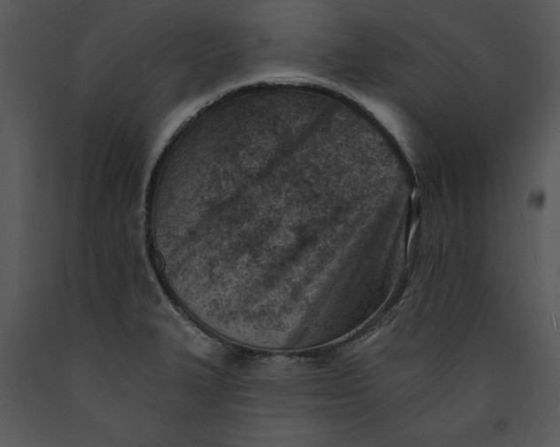 X0000089661327200707191640