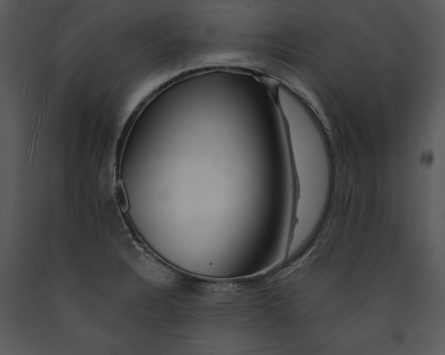 X0000089661328200707191640
