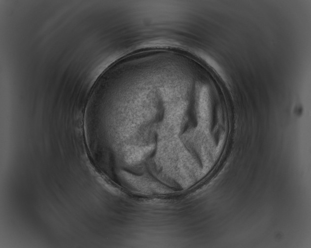 X0000089661329200707191640