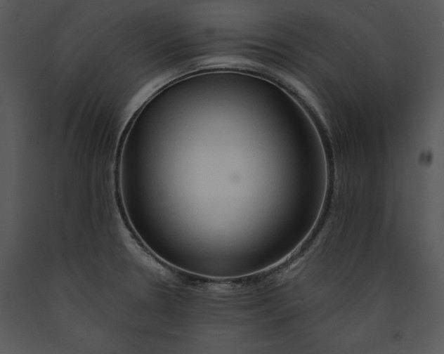 X0000089661330200707191640