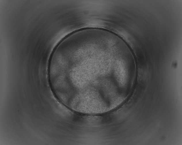 X0000089661331200707191640