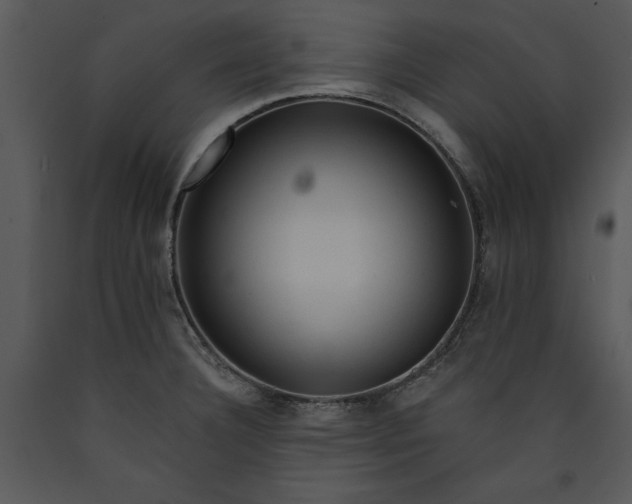 X0000089661332200707191640
