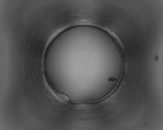 X0000089661333200707191640
