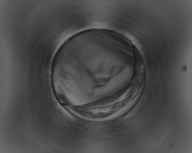 X0000089661334200707191640