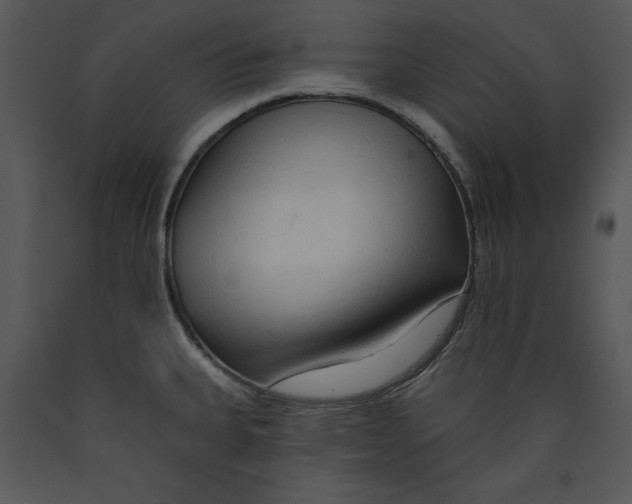 X0000089661335200707191640