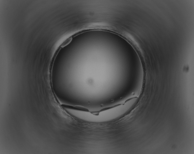 X0000089661336200707191640