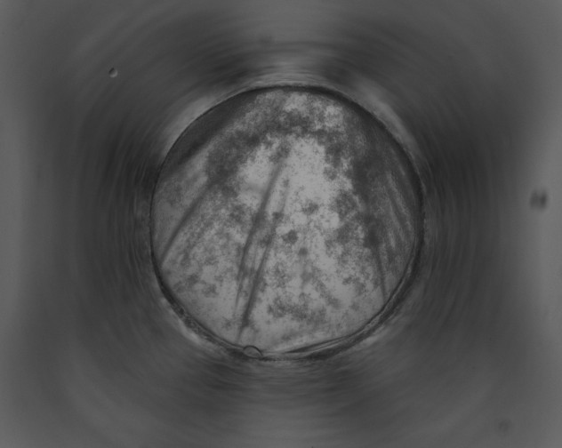 X0000089661337200707191640