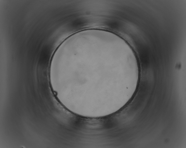 X0000089661338200707191640